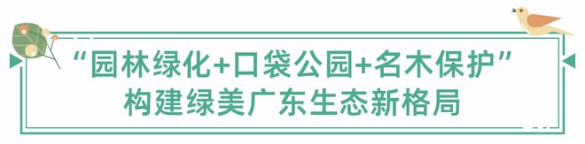 雷竞技RAYBET稳妥推进城市园林绿化助力绿美广东生态建设(图2)