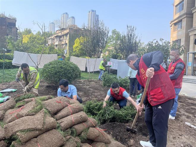 武汉市青山区园林绿化队携手社区共建“共享花园”雷竞技RAYBET(图2)