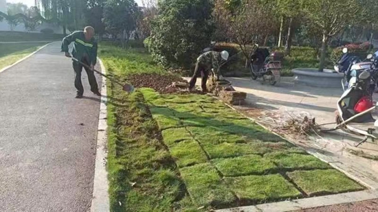 雷竞技RAYBET罗山县住建局园林绿化中心：秋季补植补栽 为城市增绿添彩(图1)