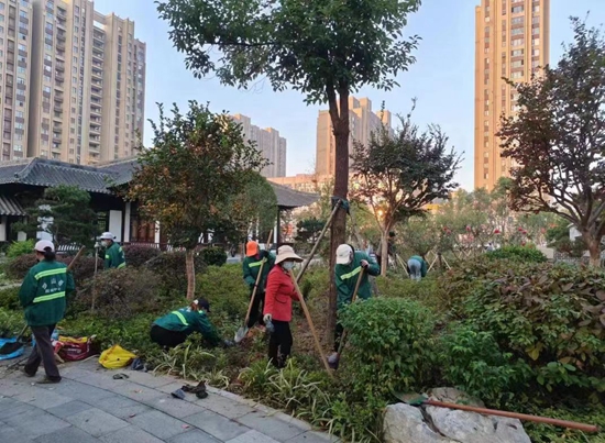 雷竞技RAYBET罗山县住建局园林绿化中心：秋季补植补栽 为城市增绿添彩(图3)