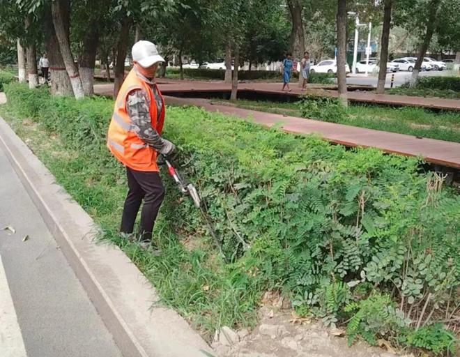 强化绿化养园林绿化护  扮靓城市风景raybet雷竞技入口(图2)