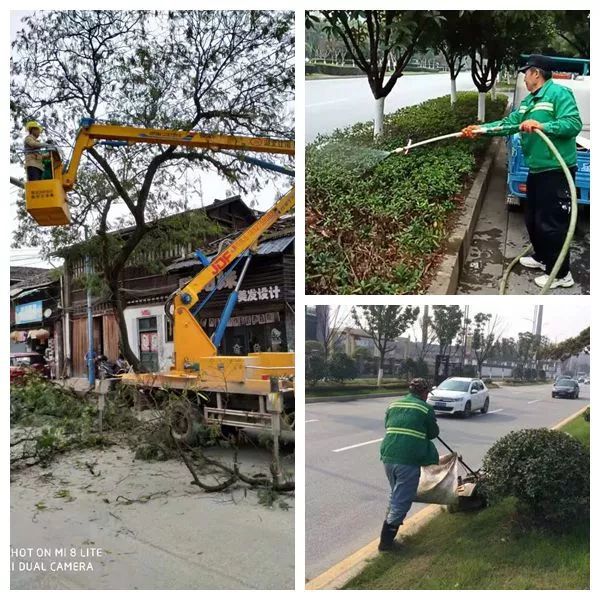 雷竞技RAYBET做好城市园林绿化 促进文明城市创建raybet雷竞技入口(图4)