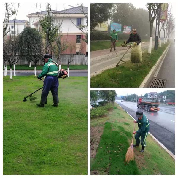 雷竞技RAYBET做好城市园林绿化 促进文明城市创建raybet雷竞技入口(图2)