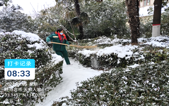 遂平县园林绿化中心：除雪护绿、除雪护路raybet雷竞技入口全力保障市民安全游园(图2)