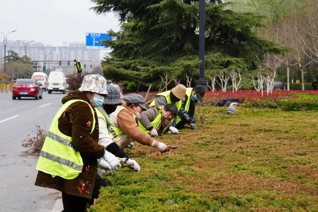 示范区城管局园林处：“增绿添园”扮靓城市容颜(图2)