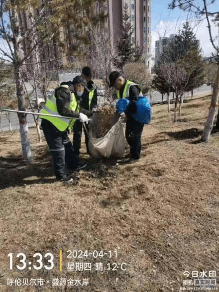 园林绿化服务中心：全面清理绿化带 守护绿色风景线(图1)