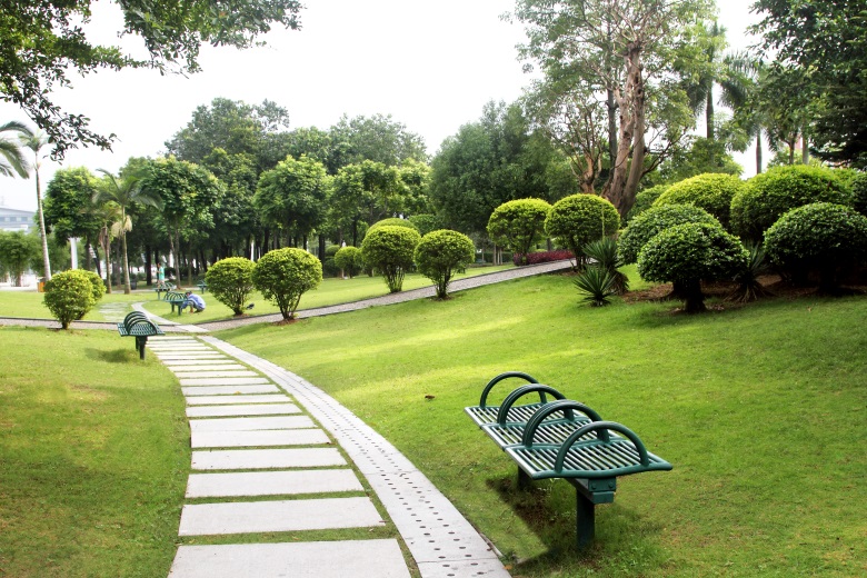 加快推进科学绿化试点示范省建设